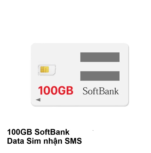Sim Softbank 100GB